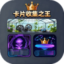 卡片收集之王