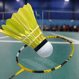 超级羽毛球大师