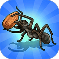 蚂蚁的指挥官