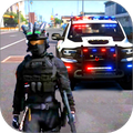 真实警车追逐